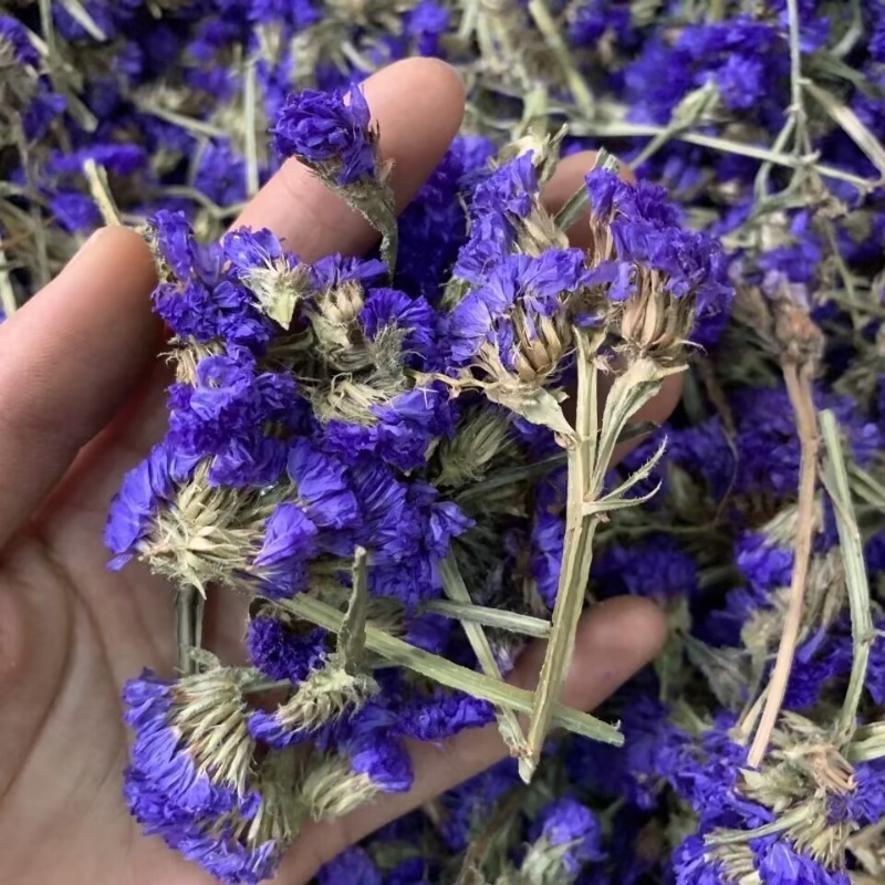 Top Natural Forget-me-not Drie - مراجعة Soap Making In Home وسعره